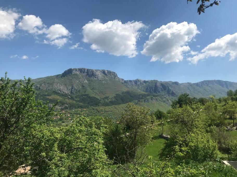 Grandma'S Hut Villa Nikšić Kültér fotó