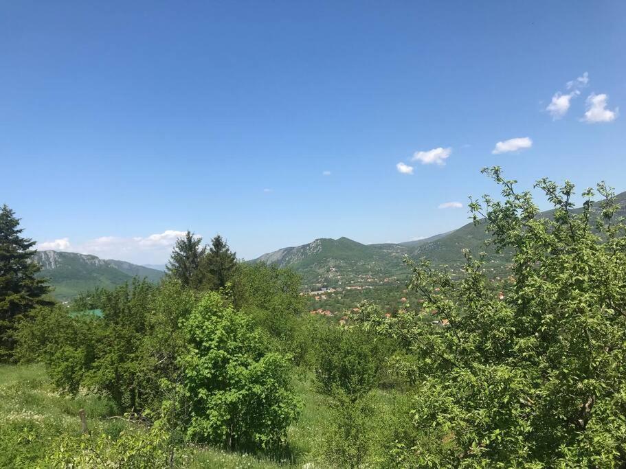 Grandma'S Hut Villa Nikšić Kültér fotó